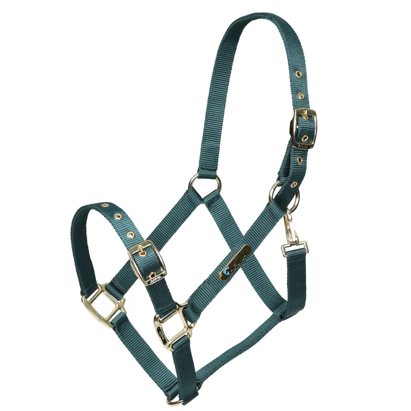 Shires Arma Adjustable Headcollar - Green